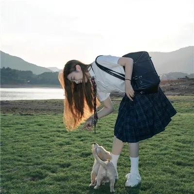 鬣狗式生存