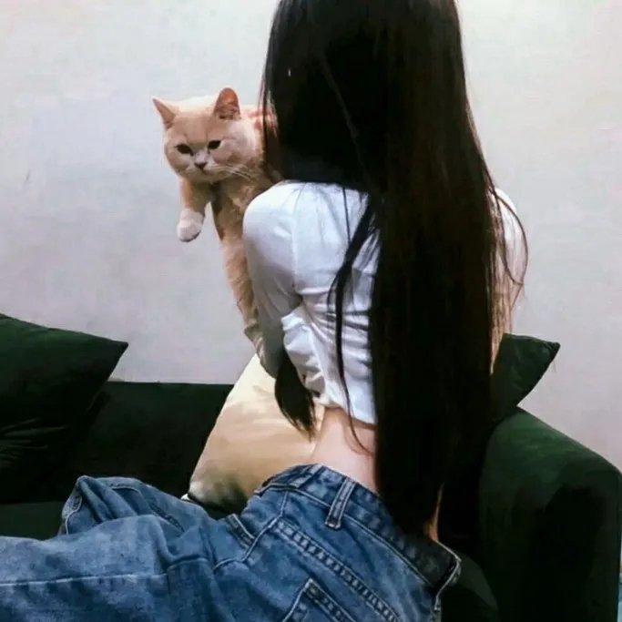 飞男飞女
